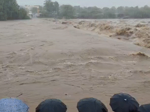 राजुला-खांभा में 12 इंच बारिश से बाढ़ के हालात:अमरेली में नदियां उफान पर आईं, हाईवे बंद होने से 20 गांवों का संपर्क टूटा